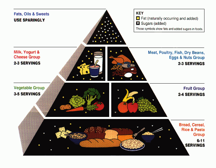 Food Pyramid 1992