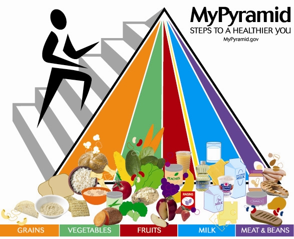 Food Pyramid 2005